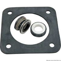 Seal Kit, Pentair Sta-Rite DuraGlas
