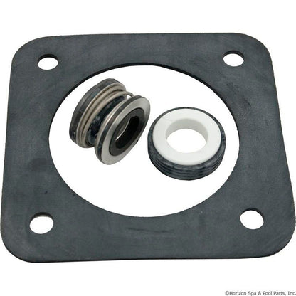 Seal Kit, Pentair Sta-Rite DuraGlas