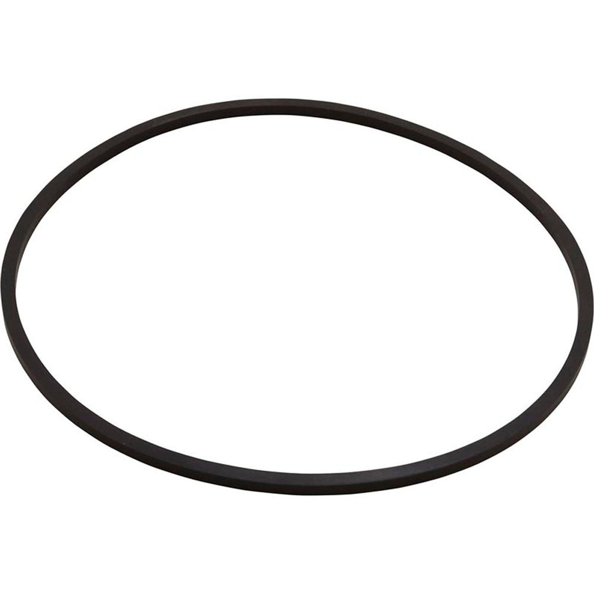 Seal Plate, Pentair Sta-Rite DuraGlas II