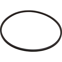 Seal Plate, Pentair Sta-Rite DuraGlas II
