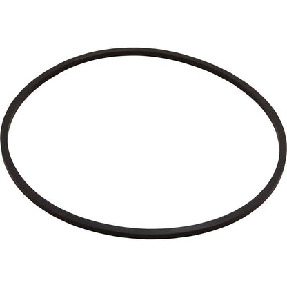 Seal Plate, Pentair Sta-Rite DuraGlas II