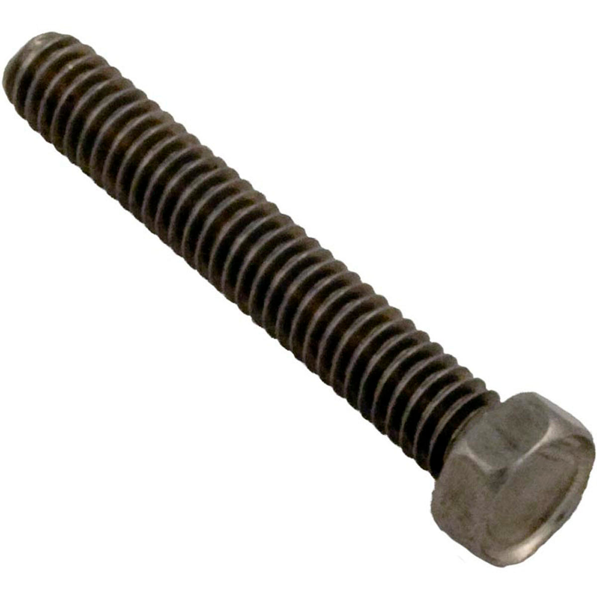 Screw, Pentair Sta-Rite DuraGlas II, IntelliPro, 8-32 x 1/4"