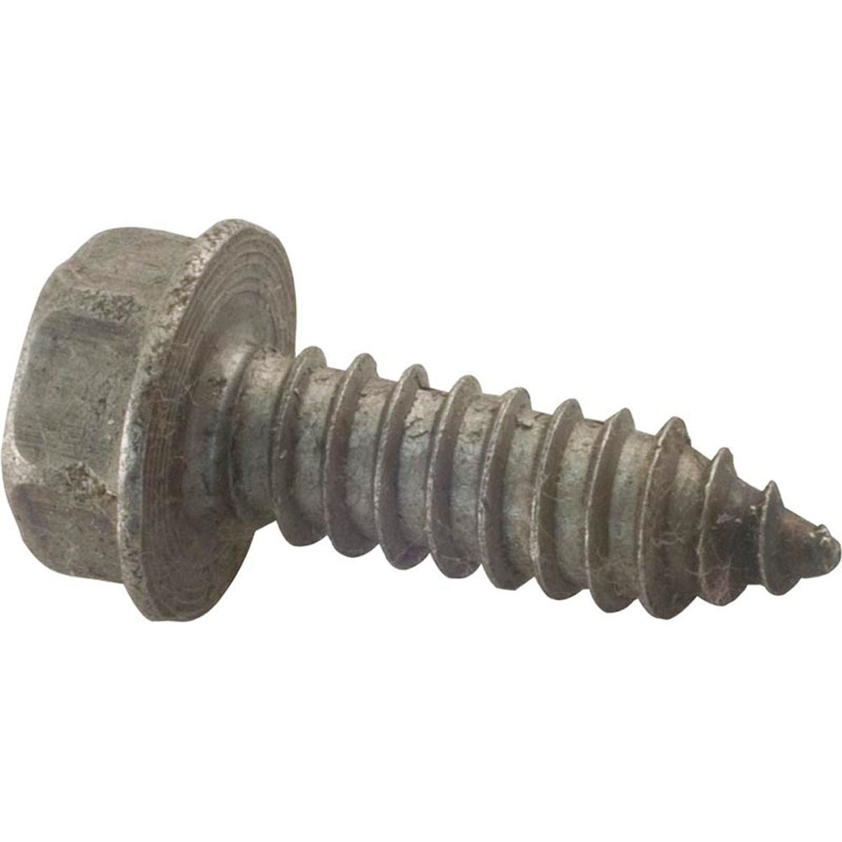 Screw, Pentair Sta-Rite, 5/16-14 x 1"