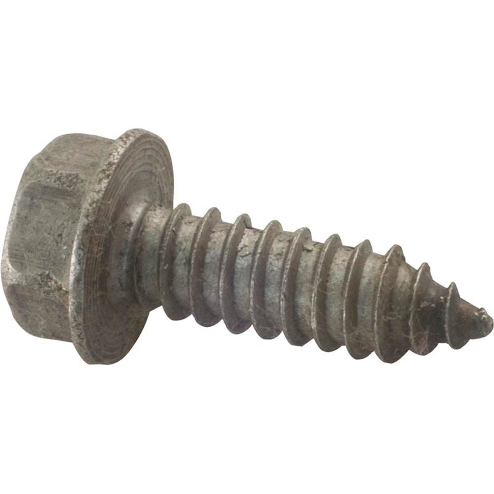 Screw, Pentair Sta-Rite, 5/16-14 x 1"