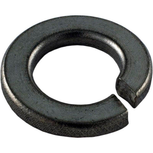 Lock Washer, Pentair Sta-Rite, 3/8"
