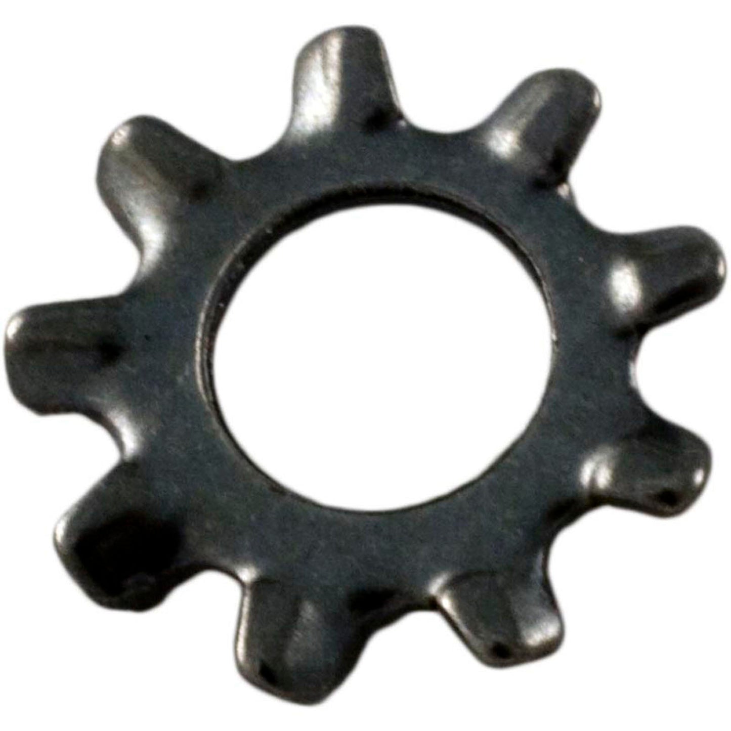 Lock Washer, Pentair Sta-Rite LT, #10
