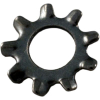 Lock Washer, Pentair Sta-Rite LT, #10