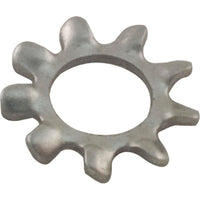 Lock Washer, Pentair Sta-Rite LT, #10