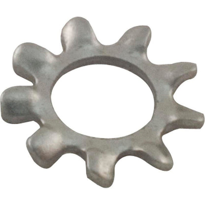 Lock Washer, Pentair Sta-Rite LT, #10