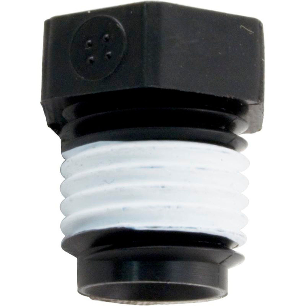 Pipe Plug, Pentair Sta-Rite, 1/4"