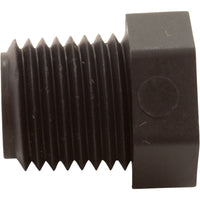 Plug, Duraglas II/MaxEGlas, 1/4" mpt, Generic