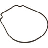 Gasket, Pentair Purex IntelliFlo VS, Seal Plate, Special ID/OD
