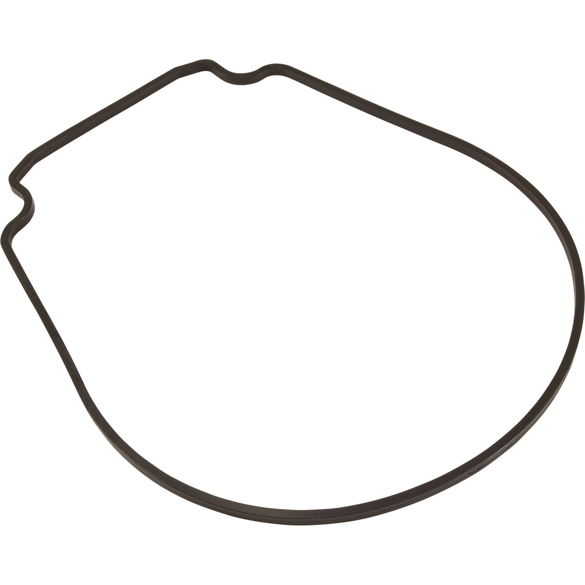 Gasket, Pentair Purex IntelliFlo VS, Seal Plate, Special ID/OD