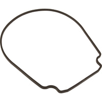 Gasket, Pentair Purex IntelliFlo VS, Seal Plate, Special ID/OD