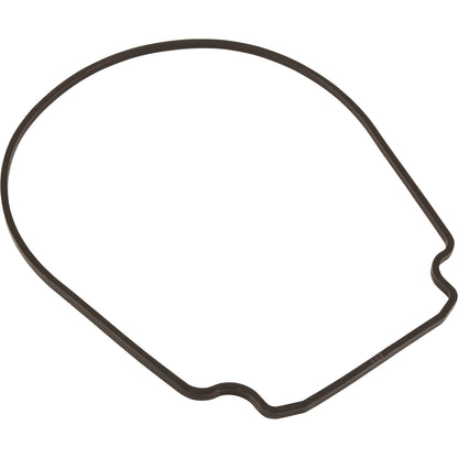 Junta, Pentair Purex IntelliFlo VS, placa de sellado, diámetro interior y exterior especiales