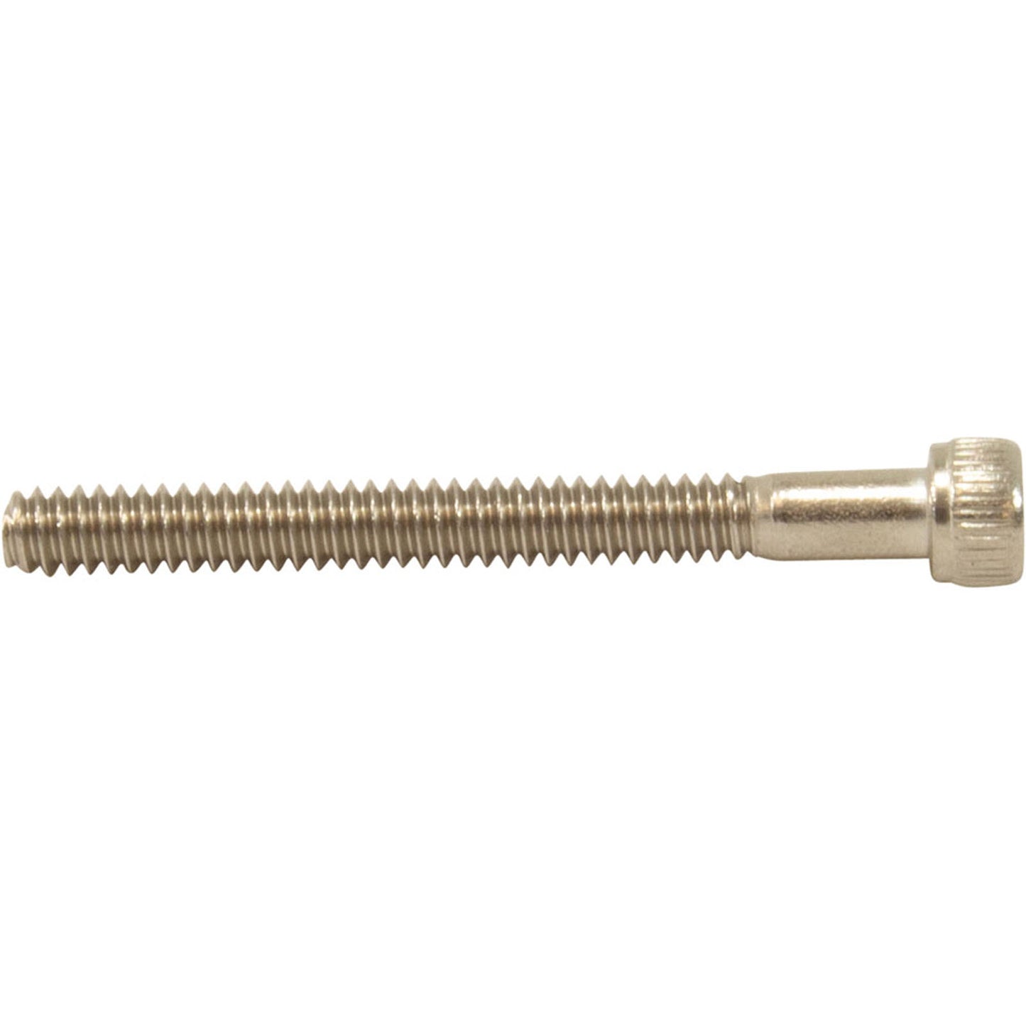 Screw, Pentair Purex IntelliFlo/Whisperflo, 4-40 x 1/18"