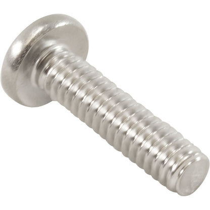 Screw, Pentair Purex Whisperflo/IntelliFlo, 1/4-20 x 1"