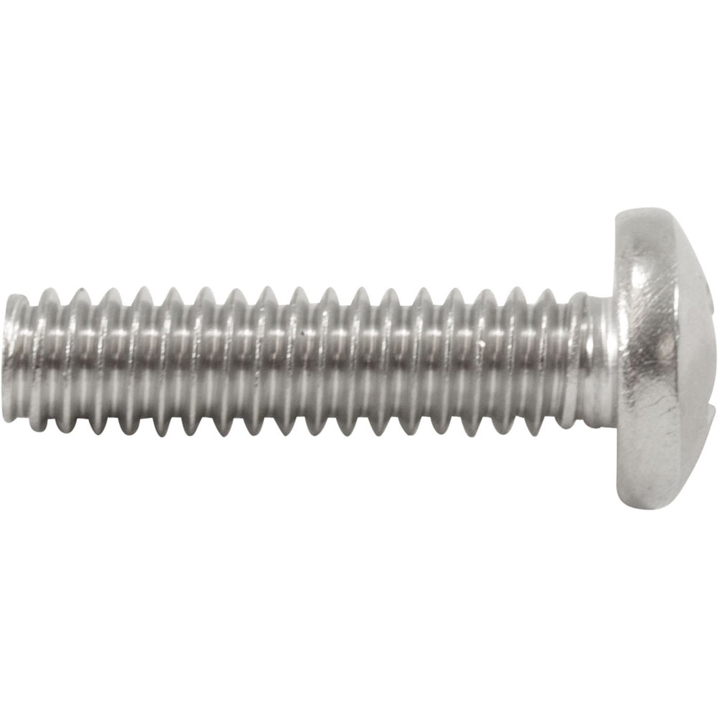 Screw, Pentair Purex Whisperflo/IntelliFlo, 1/4-20 x 1"