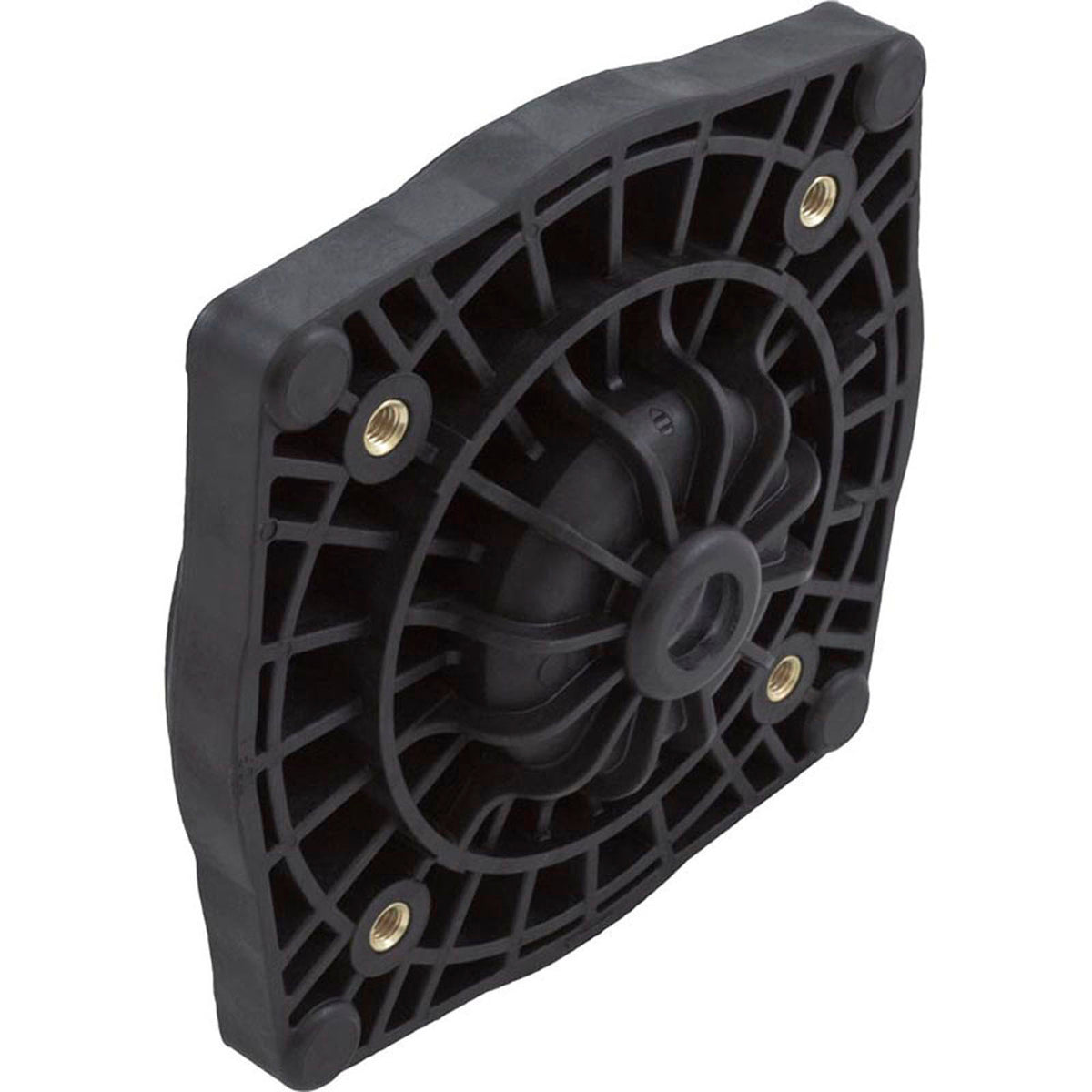 Seal Plate, Pentair Sta-Rite SuperMax, Black