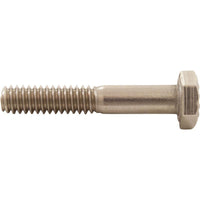 Screw, Pentair EQ500/750/1000, Diffuser, Hex, 1/4" -20 x 1-1/2", ss