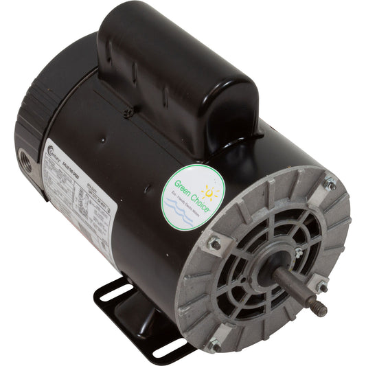 Motor, Century, 1.0 Horsepower, 230v, 2-Speed, 56Y Frame