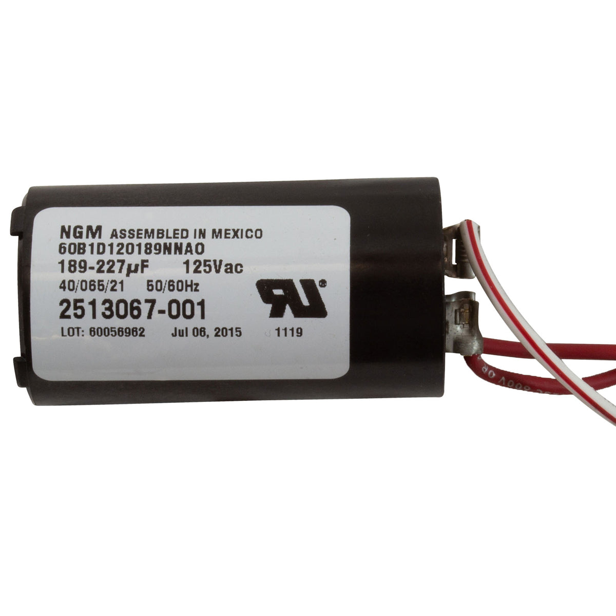 Motor, Century, 1.0 Horsepower, 230v, 2-Speed, 56Y Frame