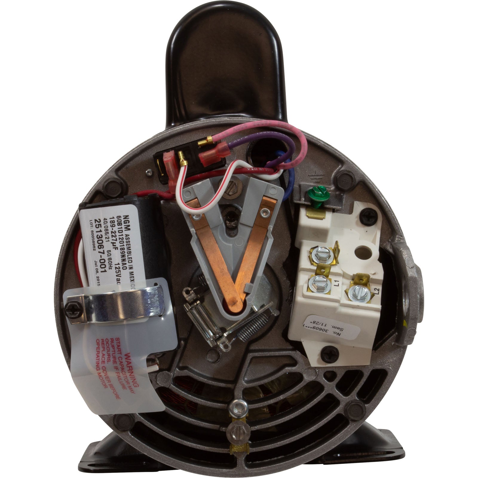 Motor, Century, 1.0 Horsepower, 230v, 2-Speed, 56Y Frame