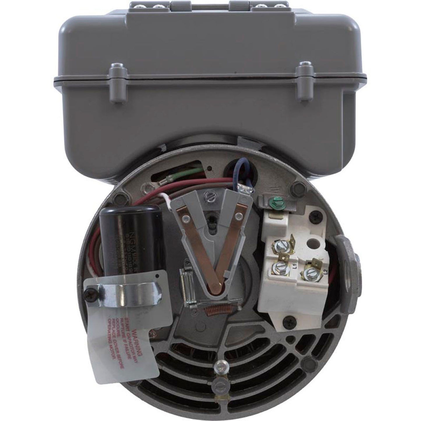 Motor, Century, 0.75hp, 115v, 2-Spd, 56Yfr, SQFL, 2-Green