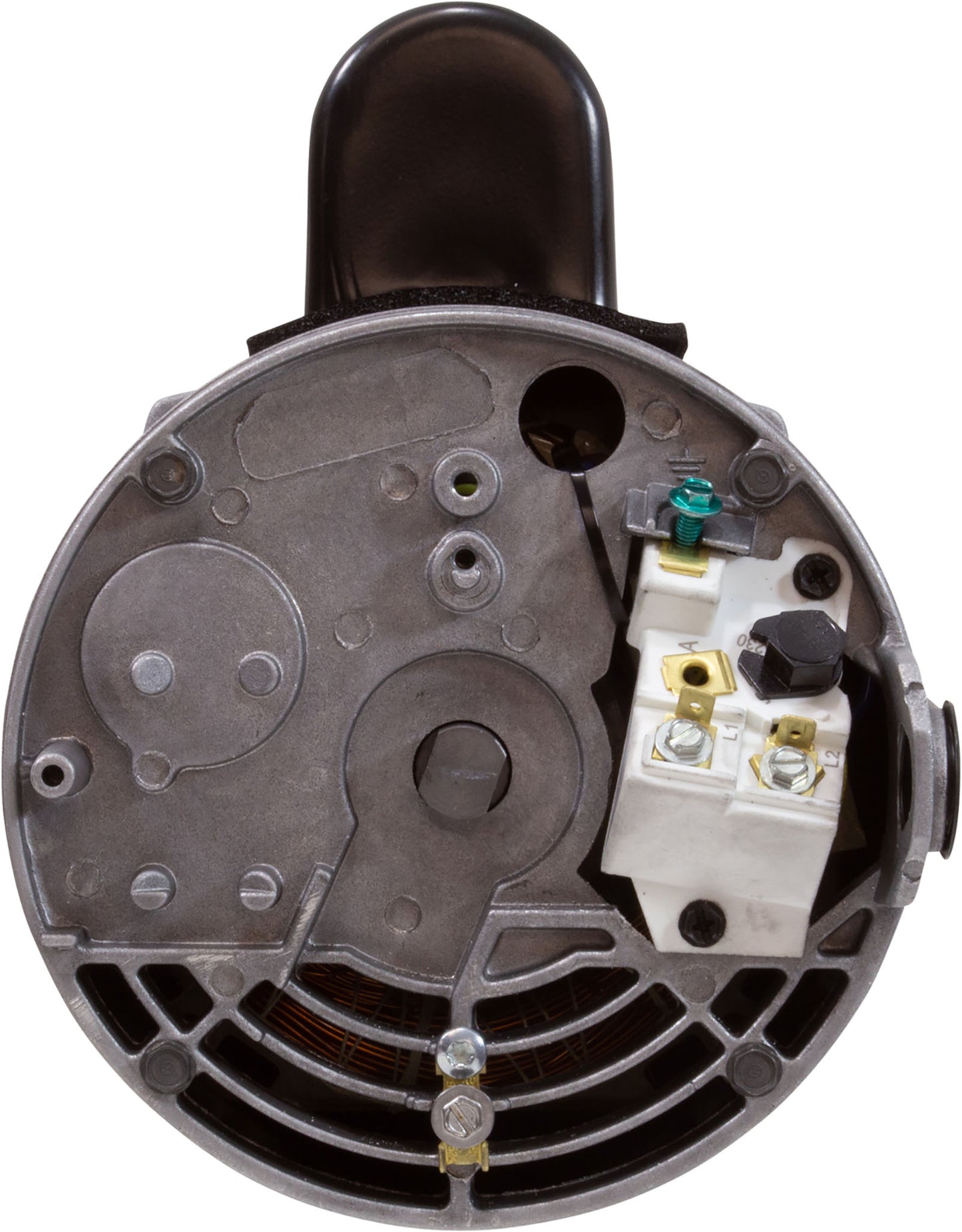 Motor Century, 1,5 hp, 115/230 V, 16/8 A, 1 velocidad, 56 Fr