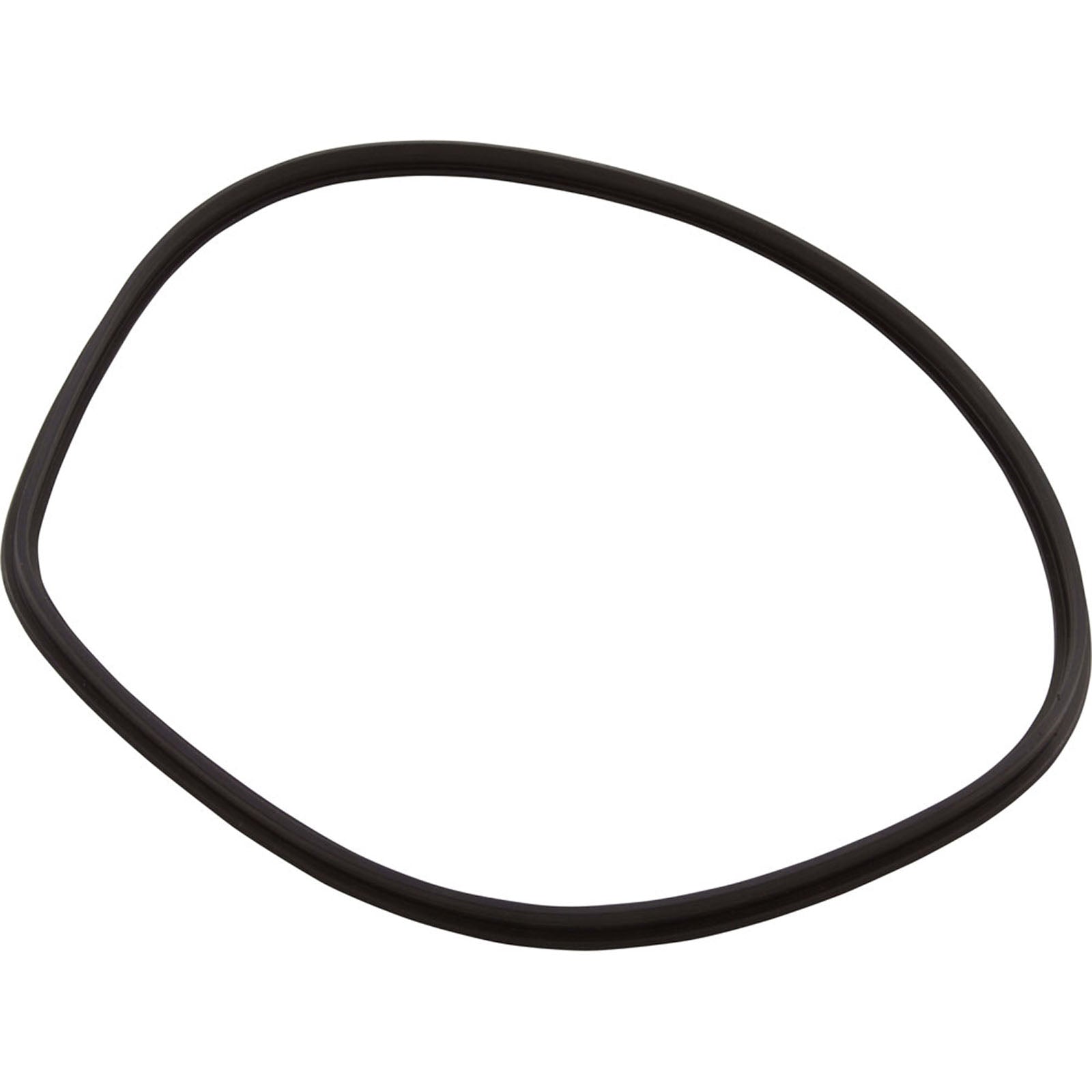 T-Ring, Hayward Northstar SP4000/4000X, Trap Body, pre-2008
