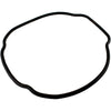 O-Ring, Hayward Tristar/EcoStar C, Housing