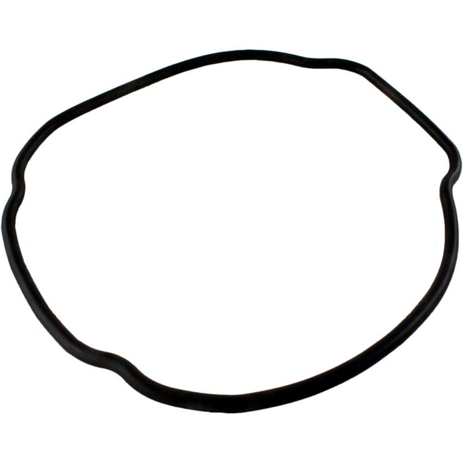 O-Ring, Hayward Tristar/EcoStar C, Housing