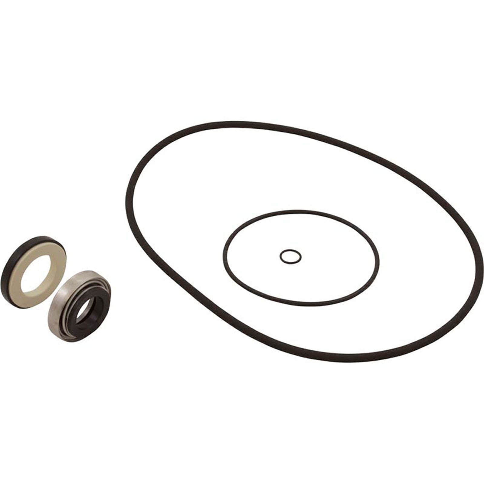 O-Ring/Gasket Kit, Hayward HCP