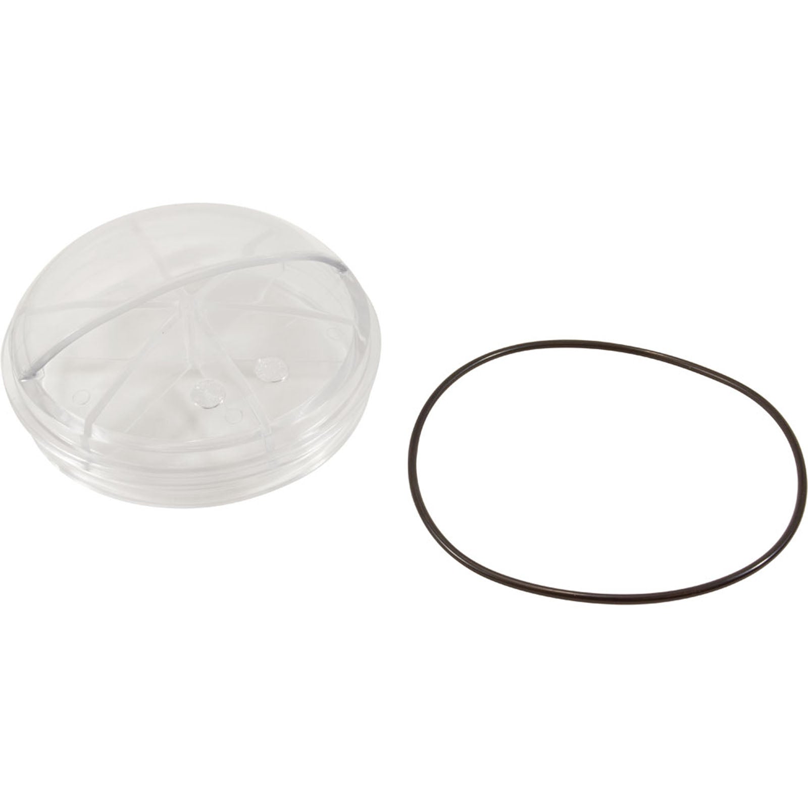 Lid, Astral Pump Strainer