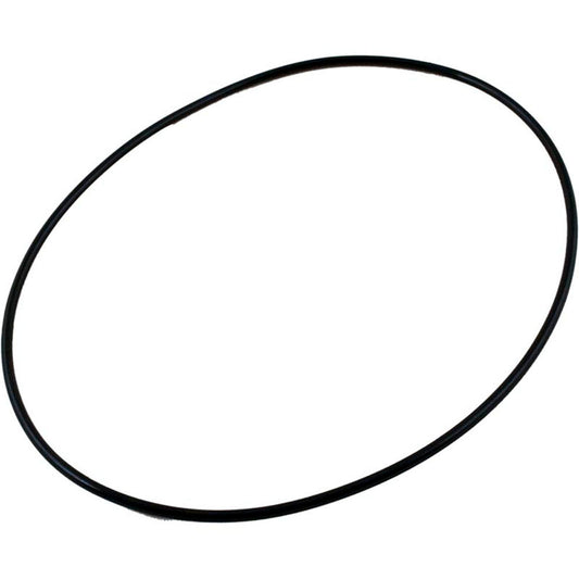 Joint torique, Waterco AquaMite/SupaMite, plaque d'étanchéité, O-299