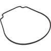 Gasket, Waterco HydroStar, Seal Plate