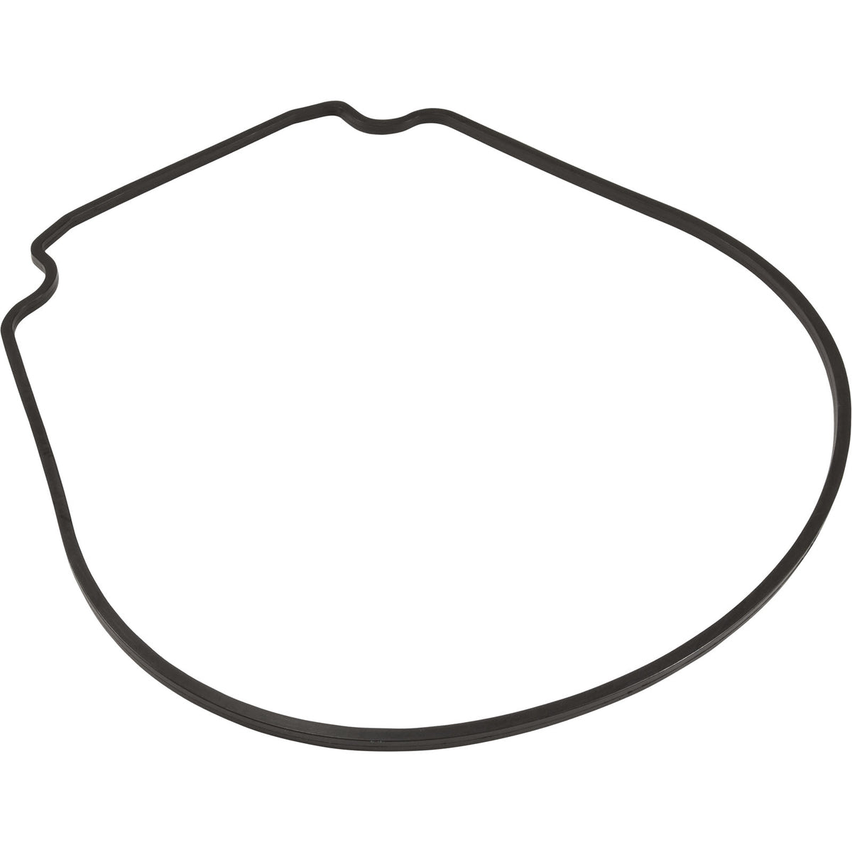 Gasket, Waterco HydroStar, Seal Plate