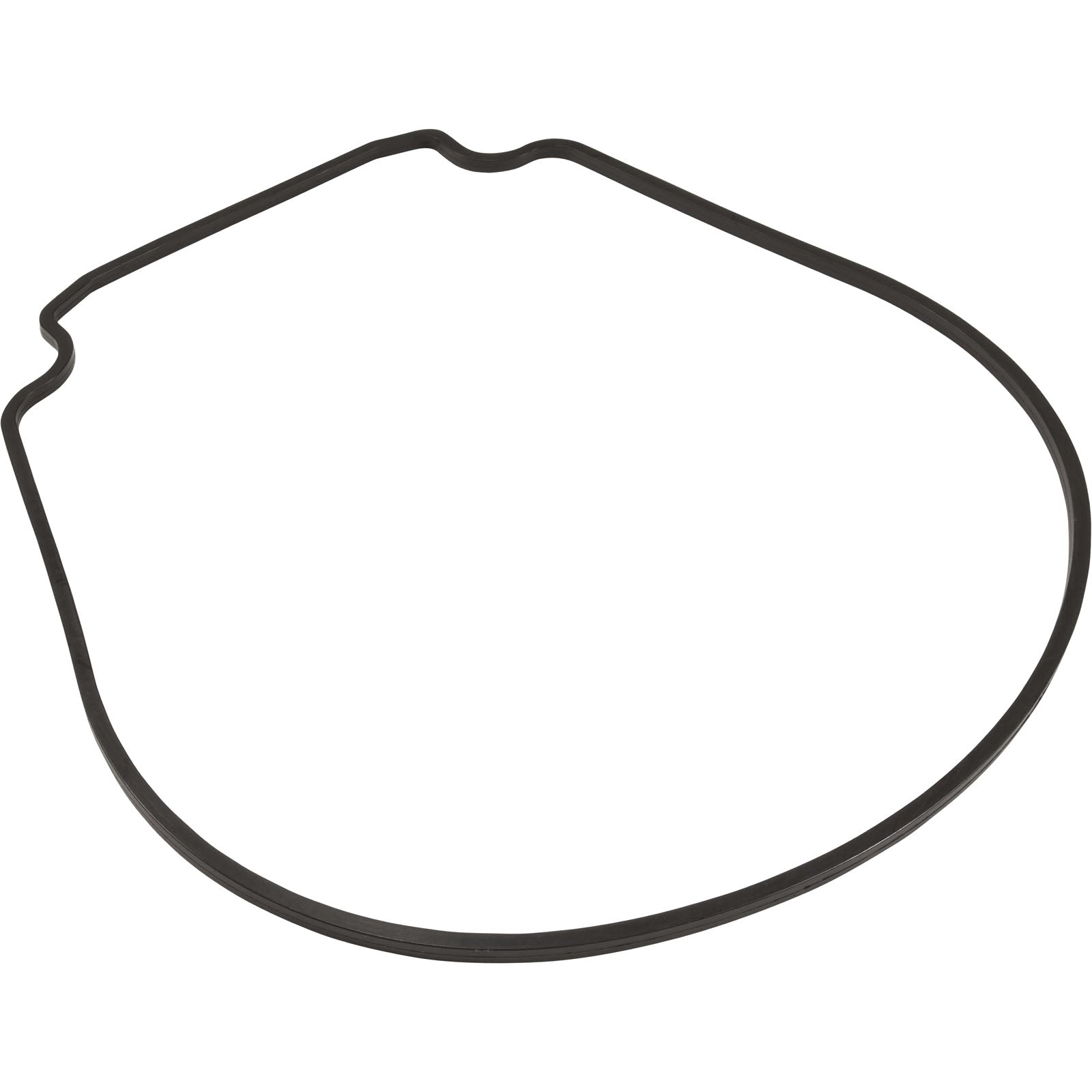 Gasket, Waterco HydroStar, Seal Plate