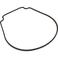 Gasket, Waterco HydroStar, Seal Plate