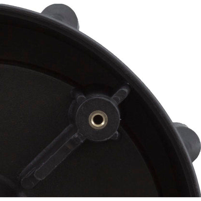 Voluta, vía fluvial suprema