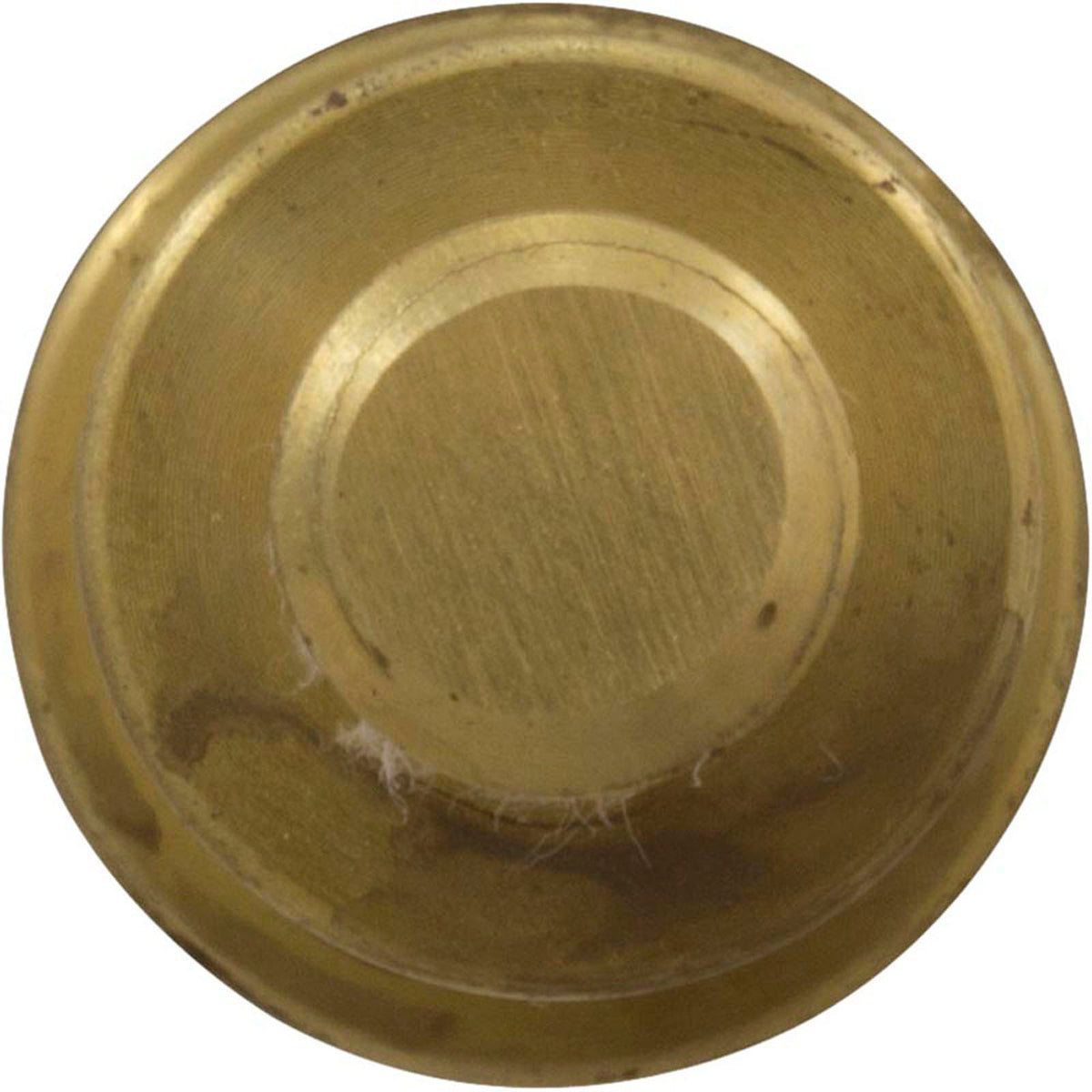 Pump Stub Shaft, Sta-Rite XL-7 Series, Brass