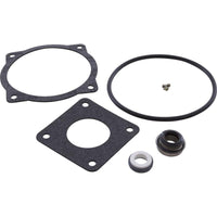 Seal Kit, Val-Pak AquaFlo A Series, 3.0hp