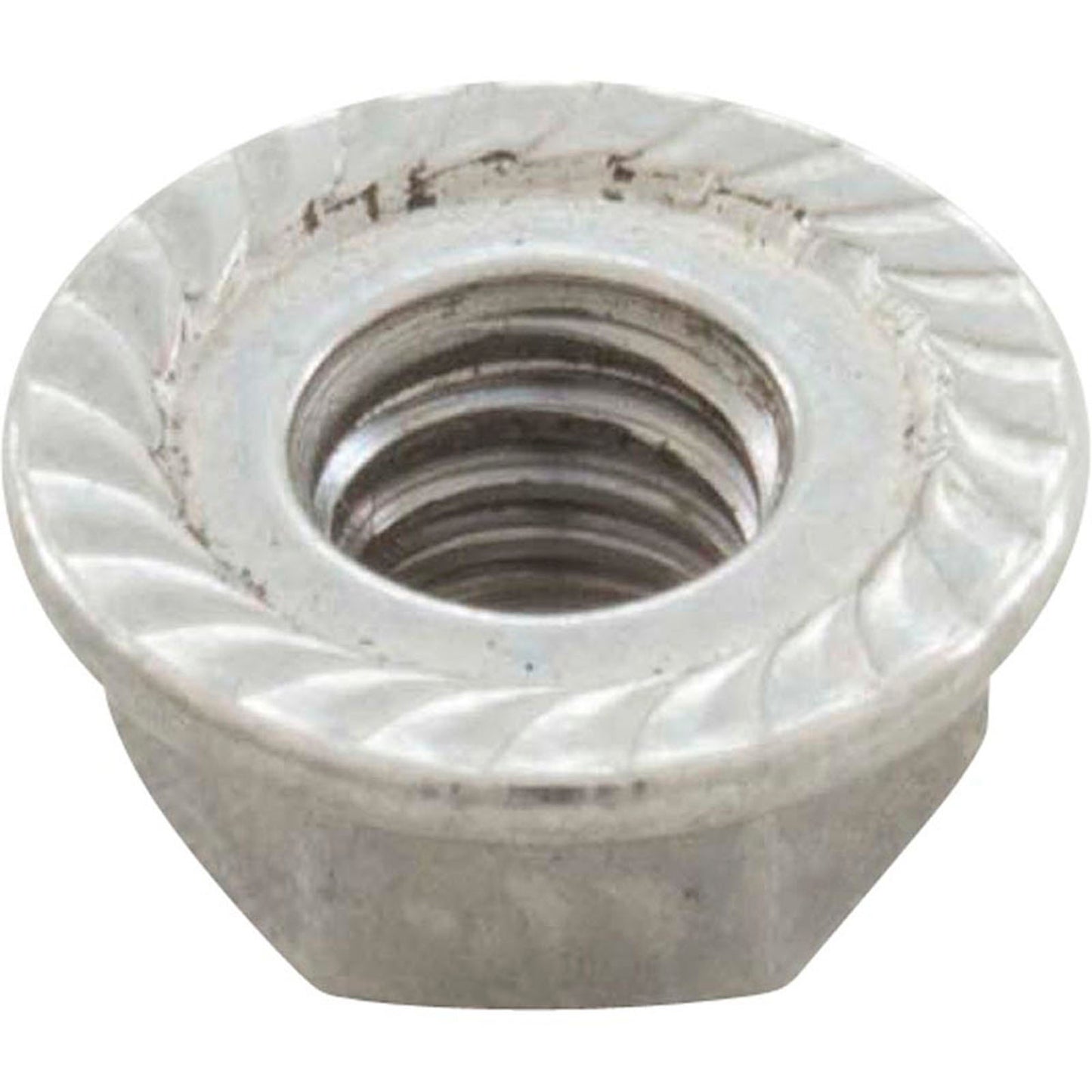 Nut, Speck 95 All Models, Motor Mouting Plate Bolt, M6 Serrated