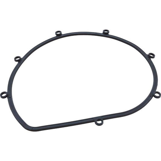 Gasket, Speck 21-80 All Models, Seal Plate
