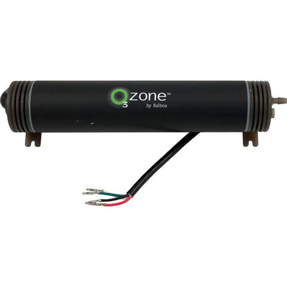 Ozonator, BWG, 115v/230v, w/Check Valve, AMP Cord