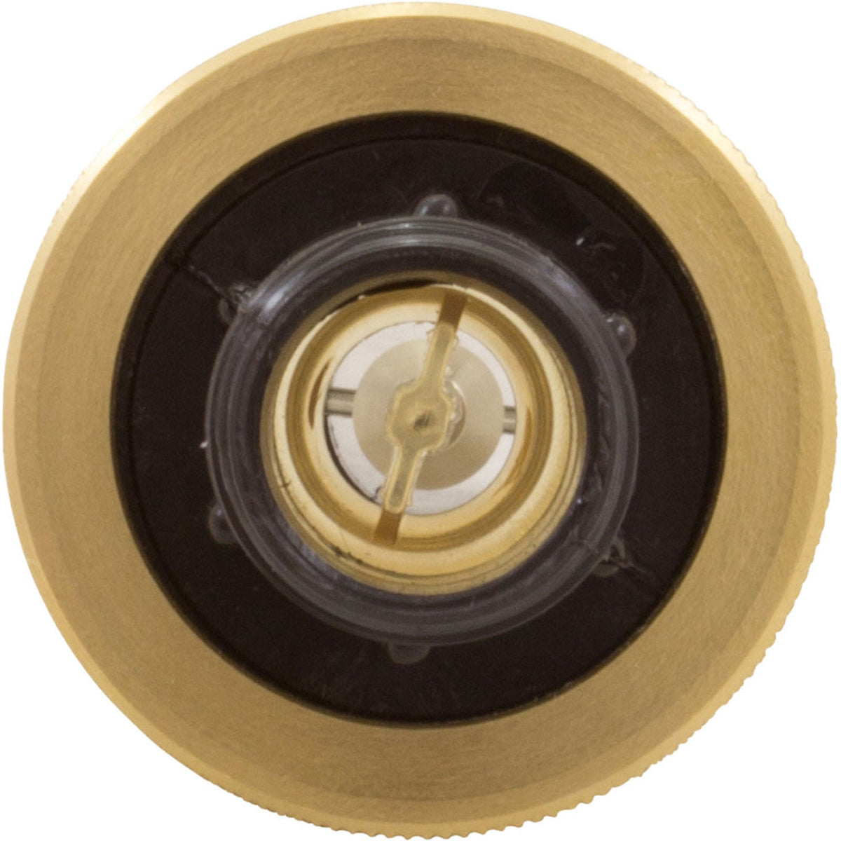 Flow Meter, Pentair, 2-16 gpm, 3/4" Nylon Thd End, Small Body