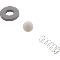 Rebuild Kit, Mazzei, Check Valve #978/C83P