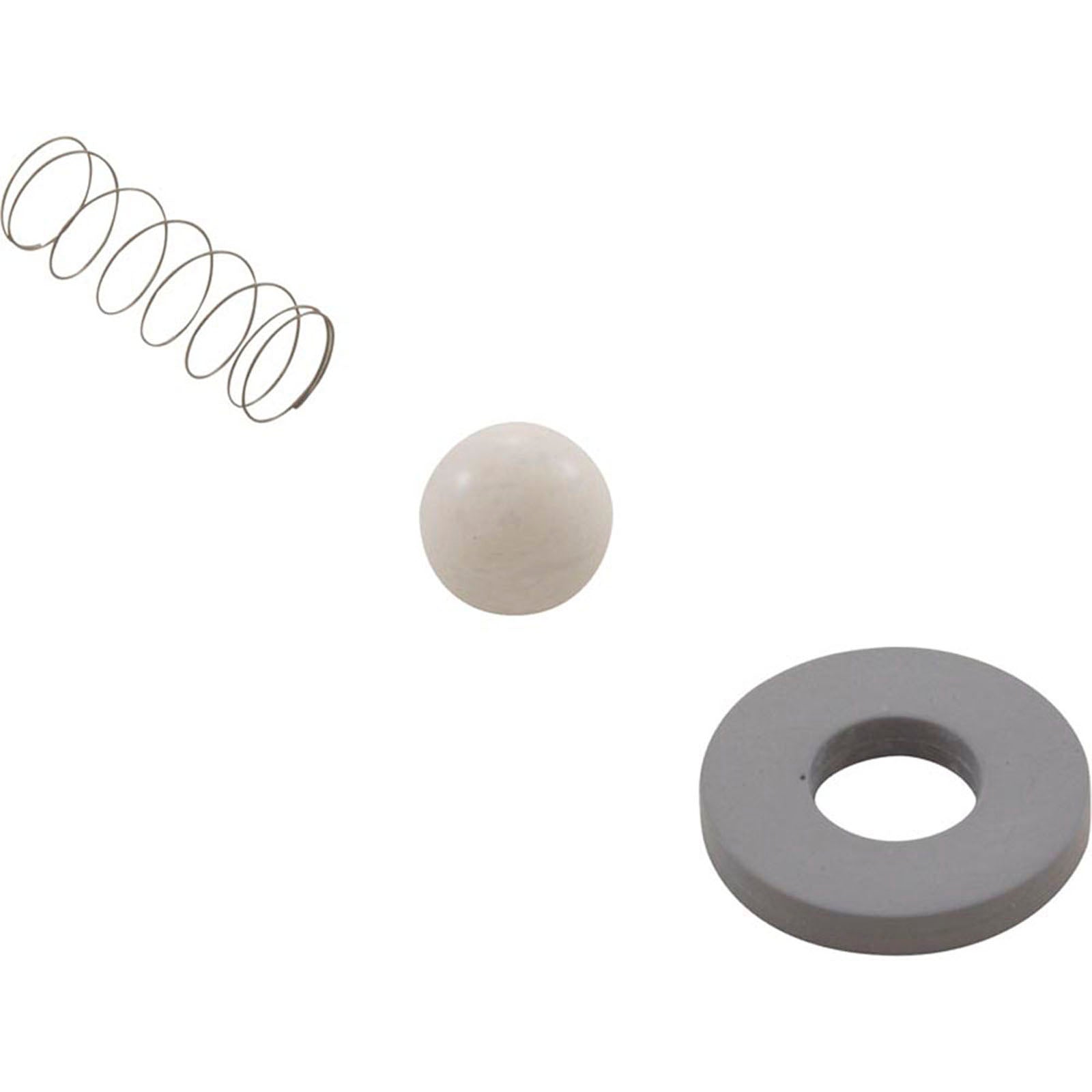 Rebuild Kit, Mazzei, Check Valve #978/C83P