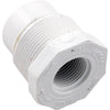 Check Valve, Hayward C250BR/500BR, 3/4"