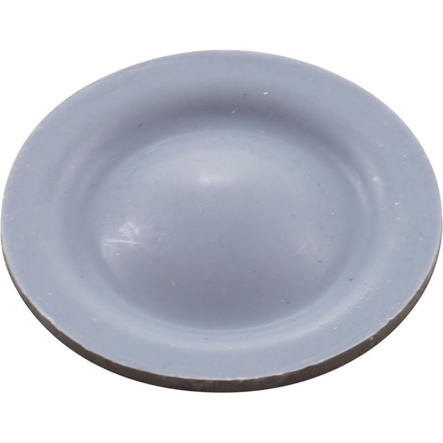 Diaphragm, Blue-White A-600 Chemical Pump, EP/PTFE